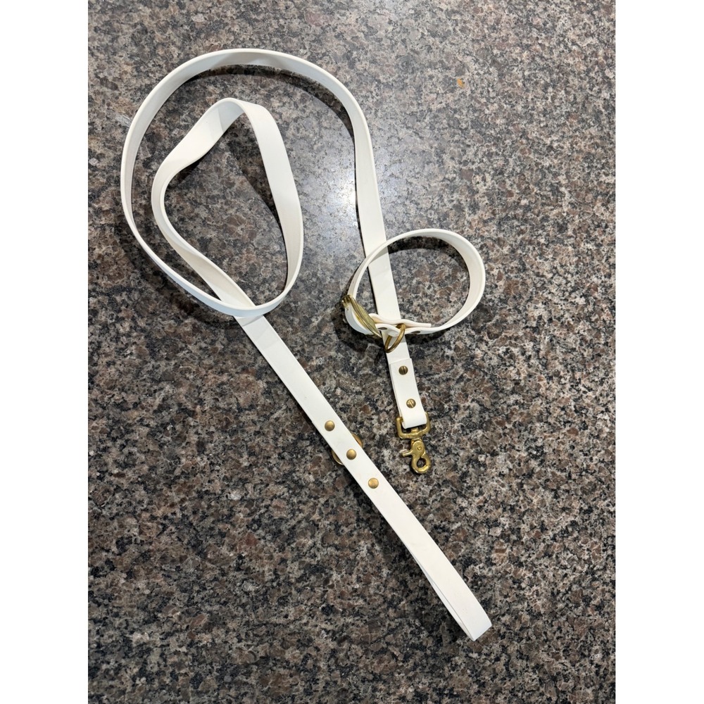 White Waterproof Dog Collar and Leash Set Brass Hardware Biothane Style 5ft